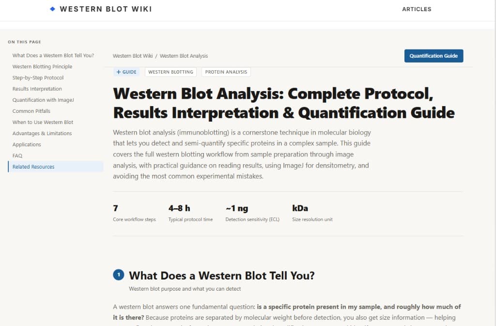 Western Blot Analysis thumbnail